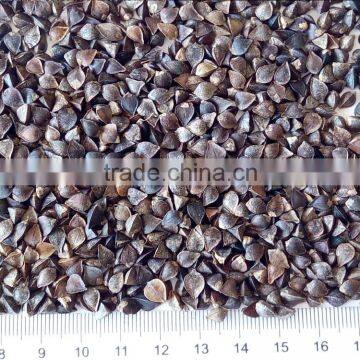 Dried Style and Bulk Packaging buckwheat brown colour