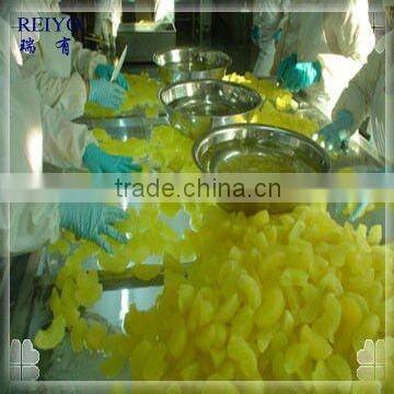 asian food wholesale Yantai apple canned