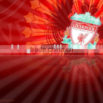 EL Panel(Hot LiverPool Football Club)