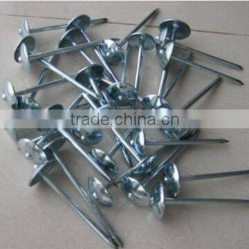 Galvanized Umbrella Roofing Nail