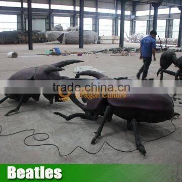 Insect Model Beatles for Sale photo-3