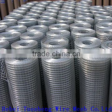 hot sale! galvanized welded wire net (anping factory)