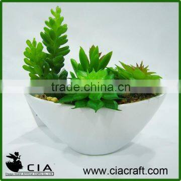 Bestselling Artificial Potted Succulent Plant Desk Plant in White Ceramic Pot