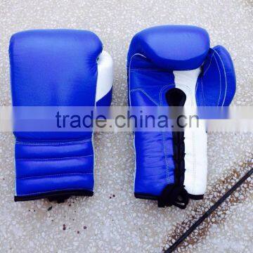 Boxing Gloves/ Blue Boxing Gloves