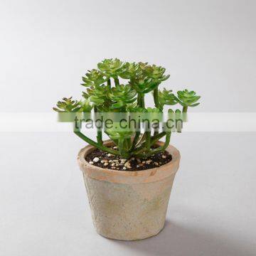 MINI artificial succulent plant bonsai with concrete planter