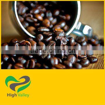 Best Quality Robusta Coffee Beans from Viet Nam