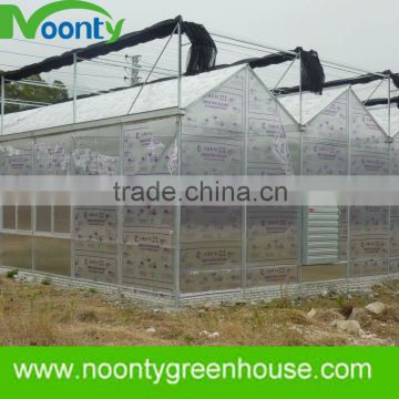 Polycarbonate Sheet Greenhouse