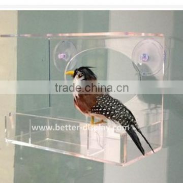 clear acrylic plastic hanging bird water feeder on window glass