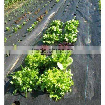 PP Woven Weed Mat for Protect Plants,weed Control Fabric,woven Plastic Mat photo-2