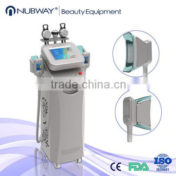 Double Chin Removal Vertical Weight Loss Cryolipolysis Machine Slimming Reshaping With 5 Handles Lower Prices Buy