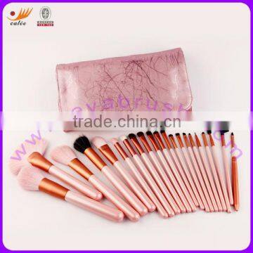 21pcs Professional Cosmetic Makeup Brush Set with Beauty Case