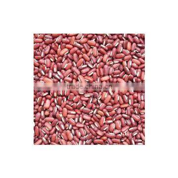 SPECKLED KIDNEY BEANS photo-3