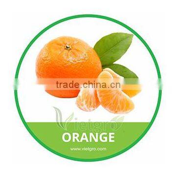 HIGH QUALITY FRESH ORANGE / MANDARIN