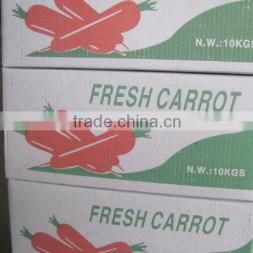 Chinese fresh carrot with high quality