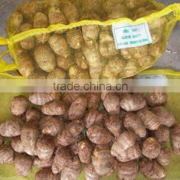 New Crop Fresh Taro
