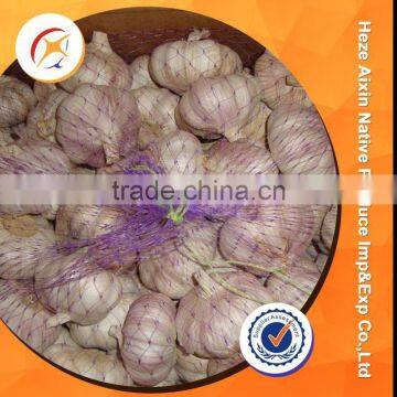 5.0cm Fresh Garlic In Box