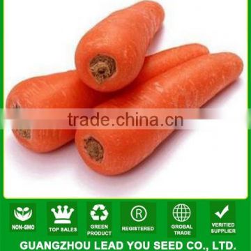 MCA02 Fushi heat resistant high quality carrot seeds price