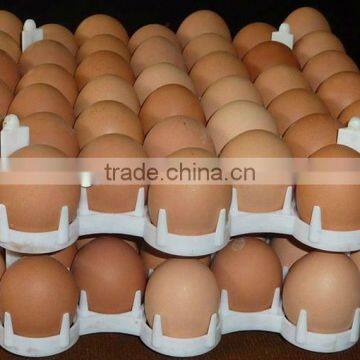 Bangchi 42-cell Plastic Chicken Egg circulating tray