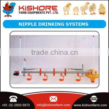 Hot Sale Automatic Poultry Drinking System by Certified Manufacturer