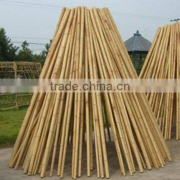 bamboo pole/cane/stick/stake