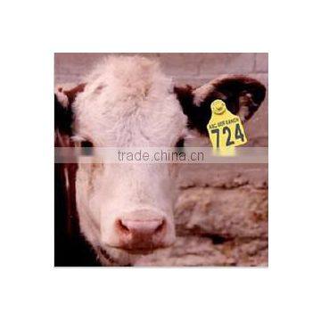 UHF RFID Ear Tags for Animal Tracking photo-3