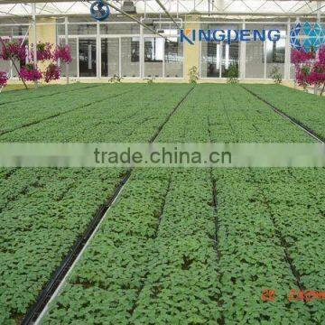 Flower And Vegetable Growing Greenhouse photo-2