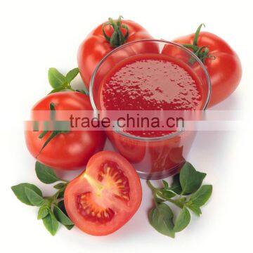 Microwave Vacuum Drying Machine for Tomato Sauce photo-4