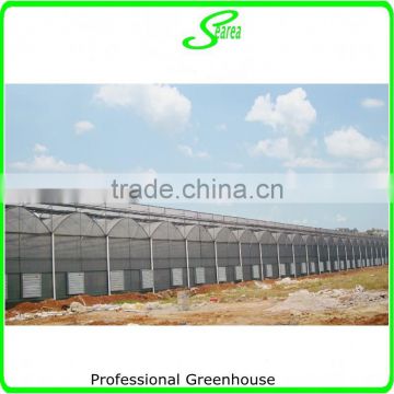 agricultural used greenhouse manufacturer