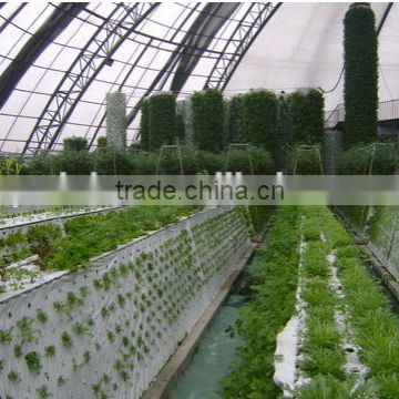 Professional Greenhouse Project commercial hydroponic systems