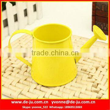 Modern Popular Metal Watering Pot photo-3