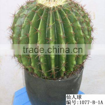Outdoor Artificial Cactus Bonsai photo-6