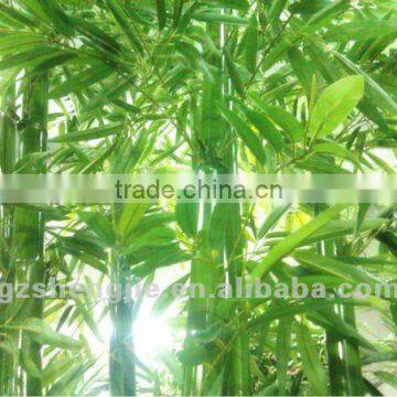 Artificial Bamboo Fence Cheap Artificial Bamboo Stick Bamboo Pole photo-4