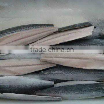 frozen spanish mackerel fish fillets(best quality)