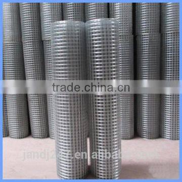 Galvanized Welded Wire Mesh From Guangzhou Supply photo-5