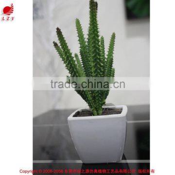 Artificial Mini Succulent Bonsai Potted Succulent Small Potted Plant photo-4