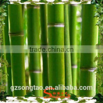 High Quality Ornament Artificial Bamboo Bonsai, Artificial Bamboo Plants, Lucky Bamboo Artificial Pole photo-2