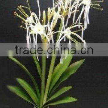 Wild Spider Lily (Hymenocallis Sp) Artificial Foam Flower