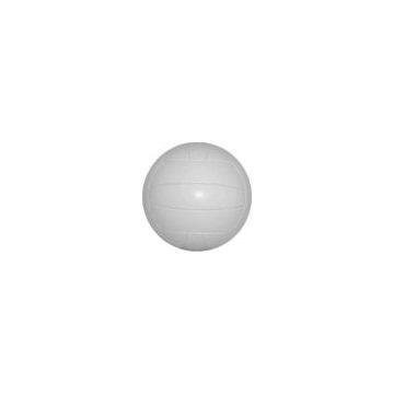 Pakistan White Volley Ball