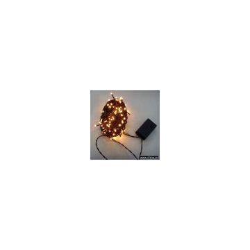 Sell Rice Twinkle Light