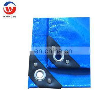 Factory Price PE Tarpaulin 2x3 m with Holes in Poly Bag With Paper Insert