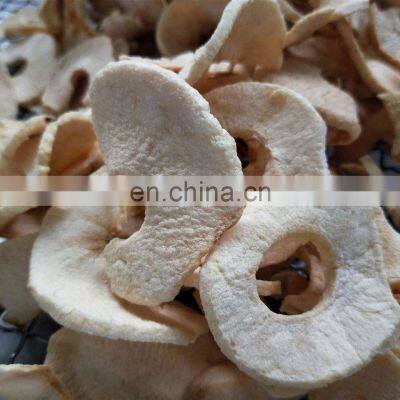 Kiwifruit Durian Freeze Dryer Freezer Dryer photo-5