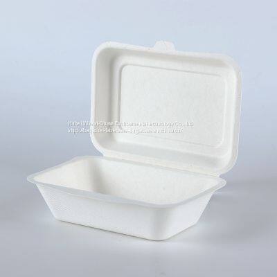 New Hot Disposable Biodegradable 350ML Bagasse Food Box Take Away Sugarcane Container