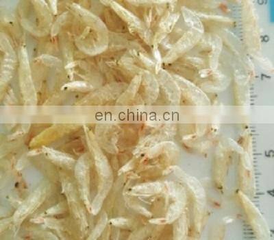 Dried Baby Shrimp With High Quality From Viet Nam small size ready for sales food ingredient