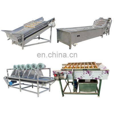 304 stainless steel small fruits and vegetable washing sorting machine