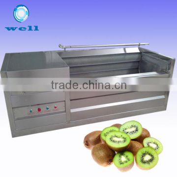 Kiwi Fruit Washing Cleaning Machine|Vegetable Washing Machine