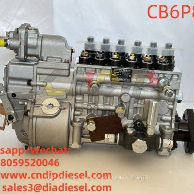 CB6P828 Diesel Fuel Injection Pump PS8500 High quality fuel injector pump assembly
