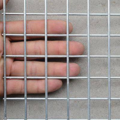 Best Selling Stainless Steel Welded Wire Mesh Hot Dipped Electro Galvanized Welded Wire Mesh Pvc Coated Welded Wire Mesh photo-2