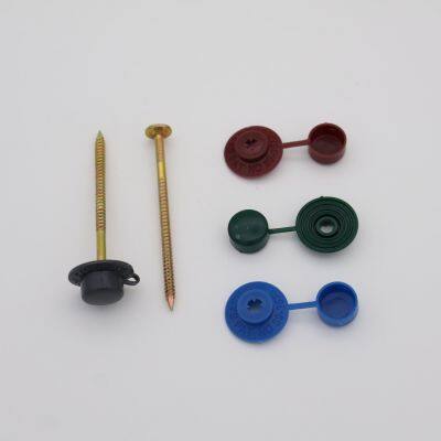 Hot-Dip Galvanized Safe Top Roofing Nails - 2000pcs/Box Industrial Packaging photo-2