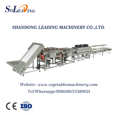 SDLEADING Sorting and Weighting Brush Cleaning Machine for Dates Expiring Fresh Dates Cleaning Machine Palm Dates Washing