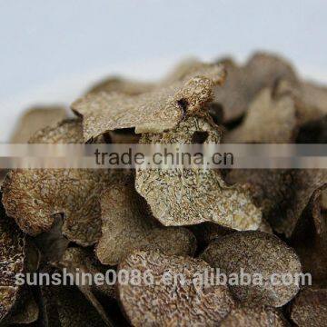 High Quality Grade A Quality dried Black Truffle slices